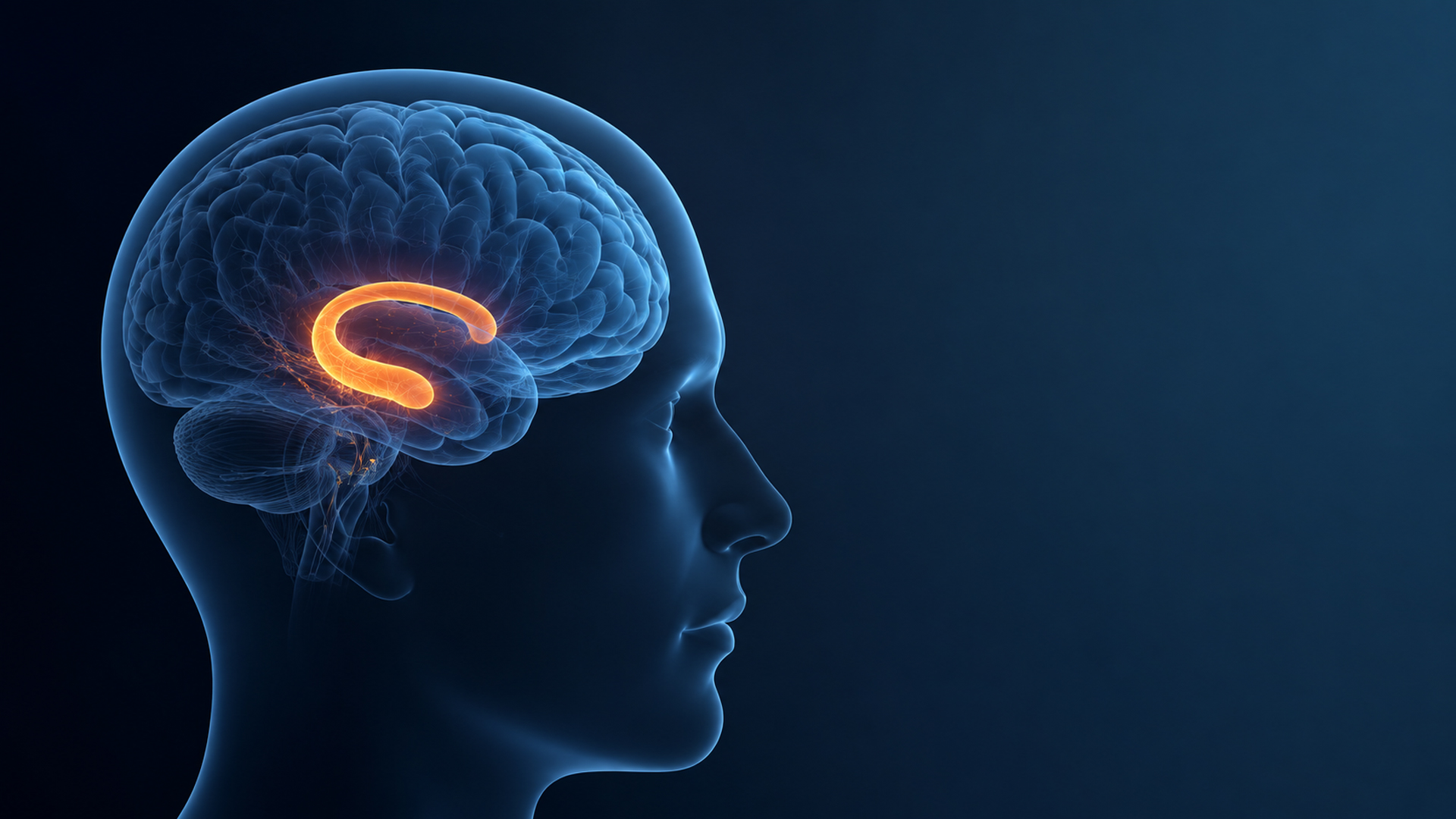 Depressão e cérebro: o que um novo estudo encontrou no hipocampo